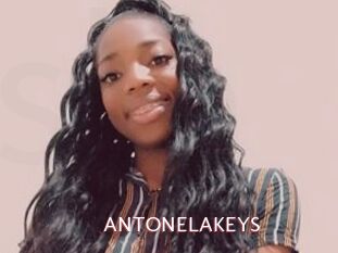 ANTONELAKEYS