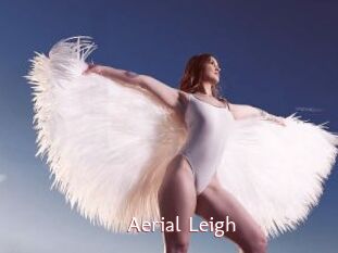 Aerial_Leigh