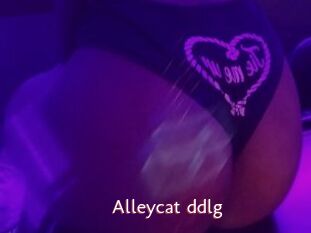 Alleycat_ddlg