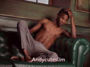 Andycuteslim