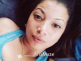 Aria_Maze