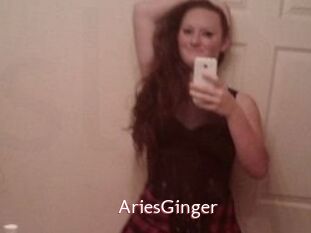 AriesGinger