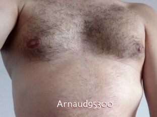 Arnaud95300