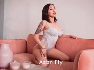 Asian_Fly