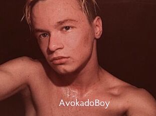 AvokadoBoy