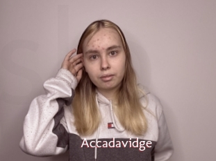 Accadavidge