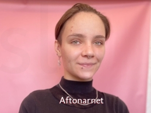 Aftonarnet