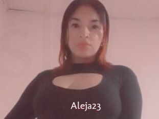 Aleja23