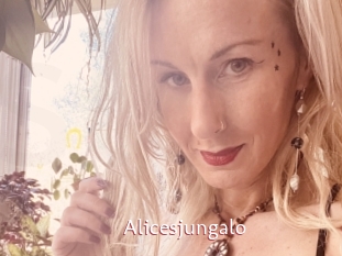 Alicesjungalo