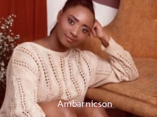 Ambarnicson