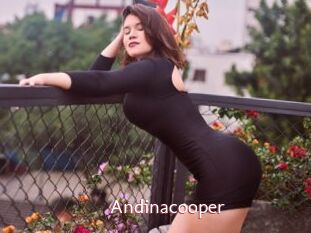 Andinacooper