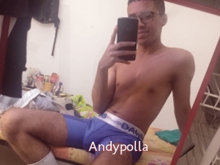 Andypolla