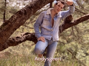 Andysgeert