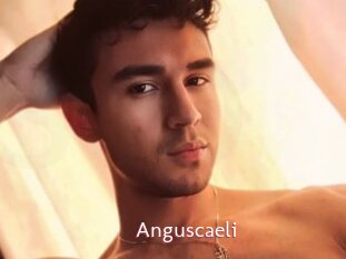 Anguscaeli