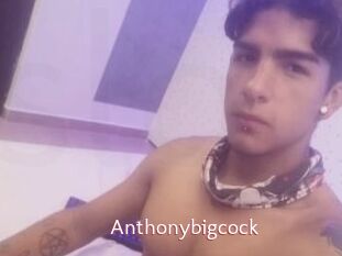 Anthonybigcock