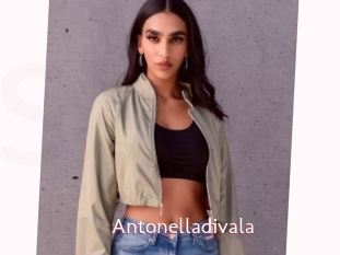 Antonelladivala