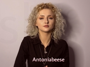 Antoniabeese