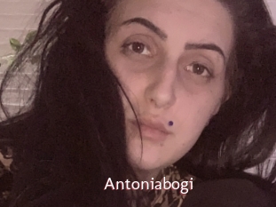 Antoniabogi