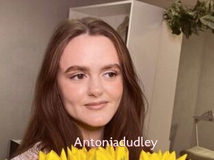 Antoniadudley