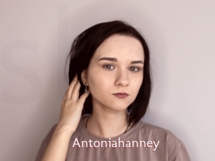 Antoniahanney