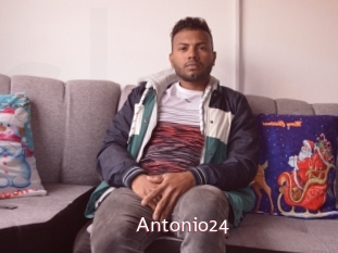 Antonio24