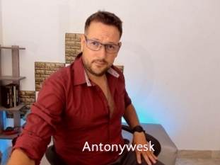 Antonywesk