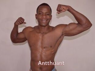Antthuant