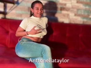 Anttonellataylor