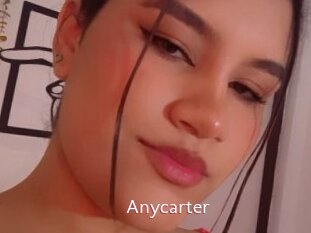 Anycarter