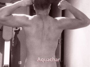 Aquachar