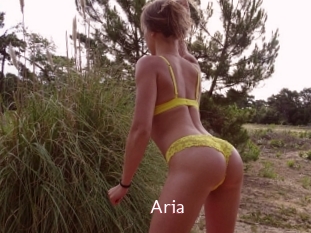 Aria