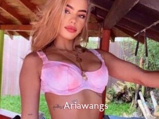 Ariawangs