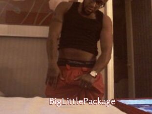 BigLittlePackage