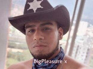 BigPleasure_x