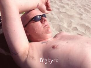 Bigbyrd