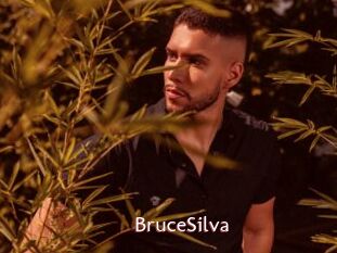 BruceSilva