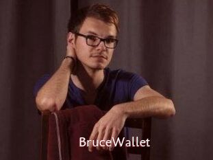 BruceWallet