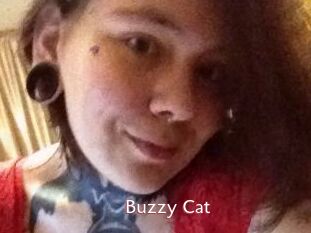 Buzzy_Cat