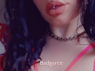 Badgarce