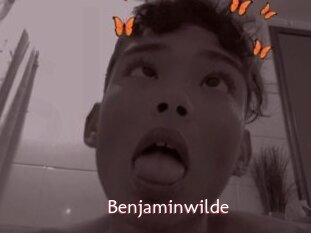 benjaminwilde Sweet links only