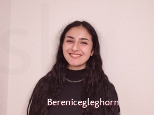 Berenicegleghorn