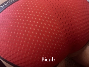 Bicub