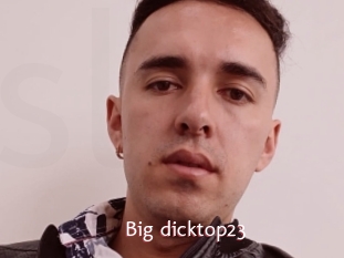 Big_dicktop23