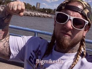 Bigmikesfit