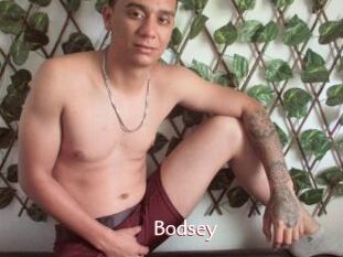 Bodsey