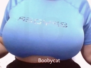 Boobycat