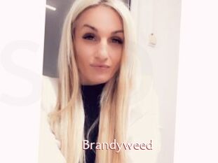 Brandyweed