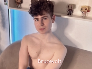 Brucevolt