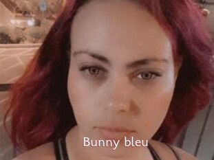 Bunny_bleu