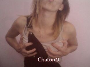 Chaton31